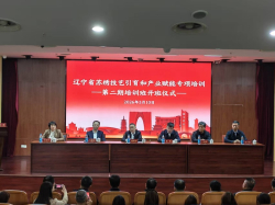 一根绣线再续“南北之约”