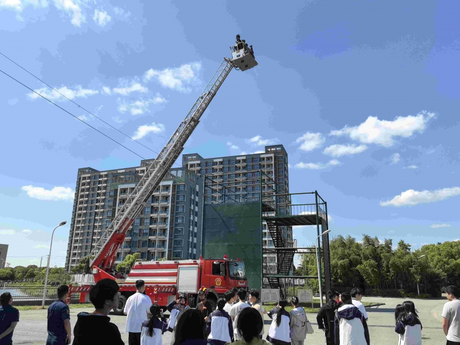 1715220149353694.jpg 8ea186c681ad351a167a8985f07fed1a.jpg